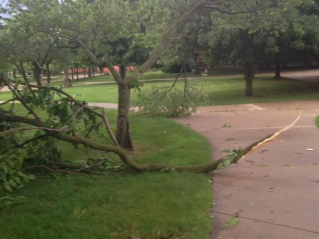 Brush Pickup for Wind Damage