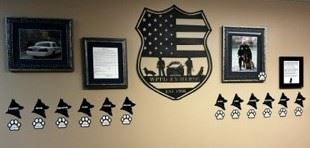 K9 WALL 